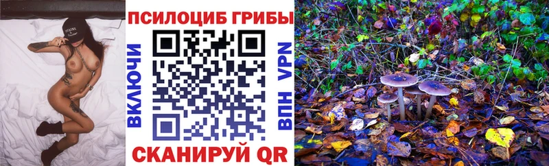 Псилоцибиновые грибы Cubensis Тихвин