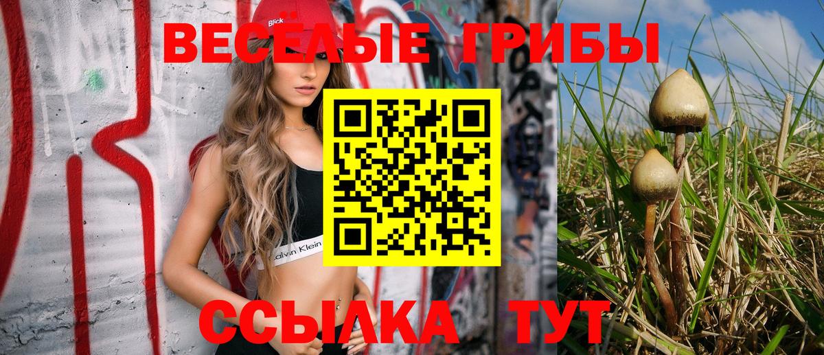 Галлюциногенные грибы Тихвин
