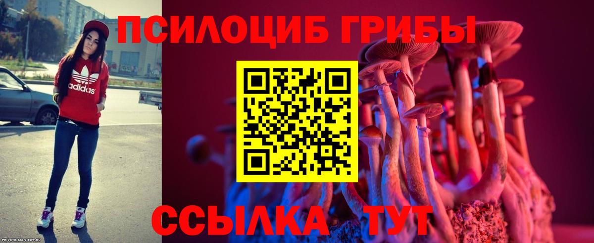 даркнет сайт  Вход с VPN  Тихвин  Галлюциногенные грибы Psilocybine cubensis 